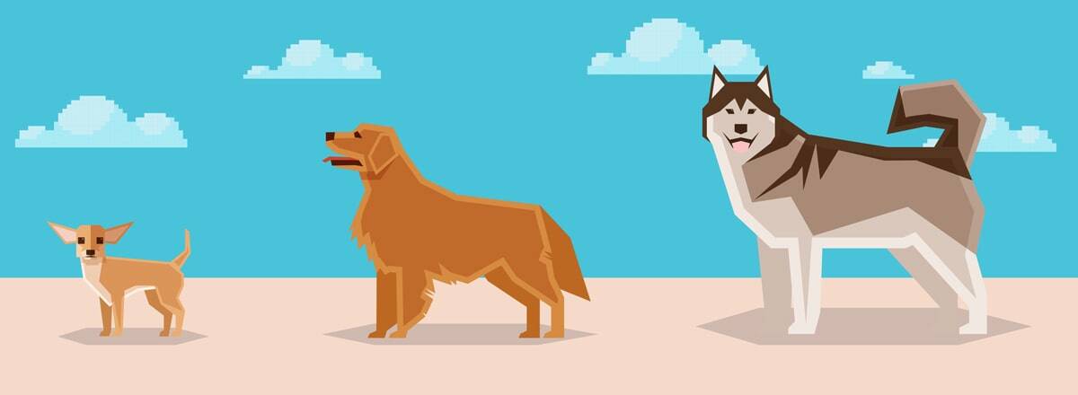 dogs-v4-min
